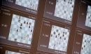 Шахматы-онлайн. Итоги второго дня