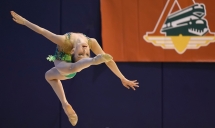 Кубок РФСО «Локомотив» по художественной гимнастике