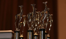 Серебряная лань