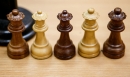 Онлайн-трансляция партий Чемпионата по шахматам